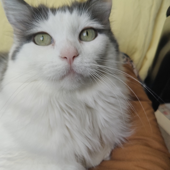 About me! - Picture 4 of 5